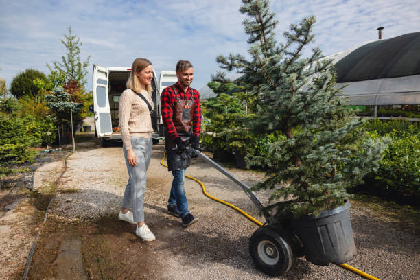 Best Emergency Tree Removal  in Carrizo Springs, TX